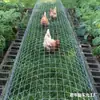 Túnel para gallinero exterior para familias rurales, Corredor de acceso directo para criar pollos, Túnel para gallinero de uso doméstico