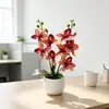 Bifurcação Dupla 8 Cachos Phalaenopsis Flor de Simulação Bonsai Decoração de Mesa para Casa Flor Artificial de Plástico Vasada Atmosfera Ornamento de Planta Verde