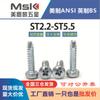 Tornillos Autorroscantes Galvanizados de Cabeza Plana Phillips, Cabeza Redonda Cola Plana St2.2 2.9 3.5 4.2 4.8