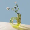 Vaso de Vidro Hidropônico de Alto Padrão Nórdico com Plantas Verdes, Ornamento de Mesa Criativo com Formato Irregular, Estilo Ins, Exclusivamente para Vendas Transfronteiriças