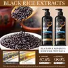 Acondicionador Sadoer Arroz Negro Todo en Inglés para Anticaída, Anticaspa, Reparador, Nutritivo, Suavizante Comercio Exterior Transfronterizo Venta al por Mayor