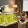 Foco Sudamericano para Acuarios de Tanque de Corriente Nativa, Foco Pequeño para Aquascaping, Luz LED para Plantas Acuáticas, Luz para Tortugas