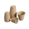 Venda direta do fabricante: Copos Descartáveis Espessos de Polpa de Papel para Mudas, Vasos de Polpa de Papel, Vasos Ecológicos e Biodegradáveis para Suculentas, Vegetais e Flores