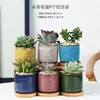 Dongheng Maceta de Animales Estilo Japonés y Coreano Maceta Mini Pulgar Adornos Set de Búho Cambio de Horno Maceta para Suculentas con Base
