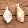 Variedad de Estrellas de Mar Artificiales Acrílicas, Conchas Marinas, Serie Marina para Pulseras, Colgantes, Aretes, Accesorios de Joyería DIY