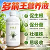 Solução Nutricional Especial para Orquídeas para Botão, Brotação de Brotos, Elemento Rei para Floração, Enraizamento de Múltiplos Brotos, Indutor de Brotos, Solúvel em Água, Não Requer Diluição