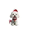 Caja de Regalo Transfronteriza Decoración Navideña para Perro Colgante Decoración de Árbol de Navidad Acrílica Colgante para Cachorro Decoración Interior de Coche