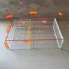 La Nueva Jaula Cifrada para Palomas que Caen del Cielo Solo Puede Entrar y Salir, la Jaula con Cierre Automático de Puerta, la Jaula que Cae del Cielo y el Artefacto para Capturar Palomas que Te Está Esperando por Todos Lados