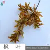 Ramas Simuladas de Venta Caliente Transfronteriza, Hojas de Arce Rojas, Accesorios de Plástico para Decoración del Hogar, Flores Artificiales, Paisajismo de Ingeniería al por Mayor, Flores de Seda