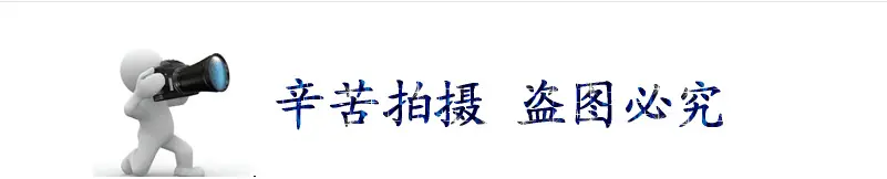 微信图片_20191113133337.png
