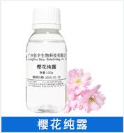 樱花.png
