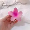 Presilha Grande de Flor Transparente, Presilha de Cabelo Doce Elegante, Verão Banho Parte de Trás da Cabeça Presilha Tubarão Presilha de Cabelo Acessório de Cabelo