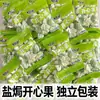 Pistachos Salados Granulados Grandes en Bolsas Pequeñas Individuales, Snacks Casuales, Productos Secos, Frutos Secos Navideños