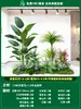 Paisagismo de Planta Artificial Varanda Arranjo de Paisagem Escada Interna Sob Árvore de Flores Artificiais Decoração Biomórfica Planta Verde Paisagismo Combinação