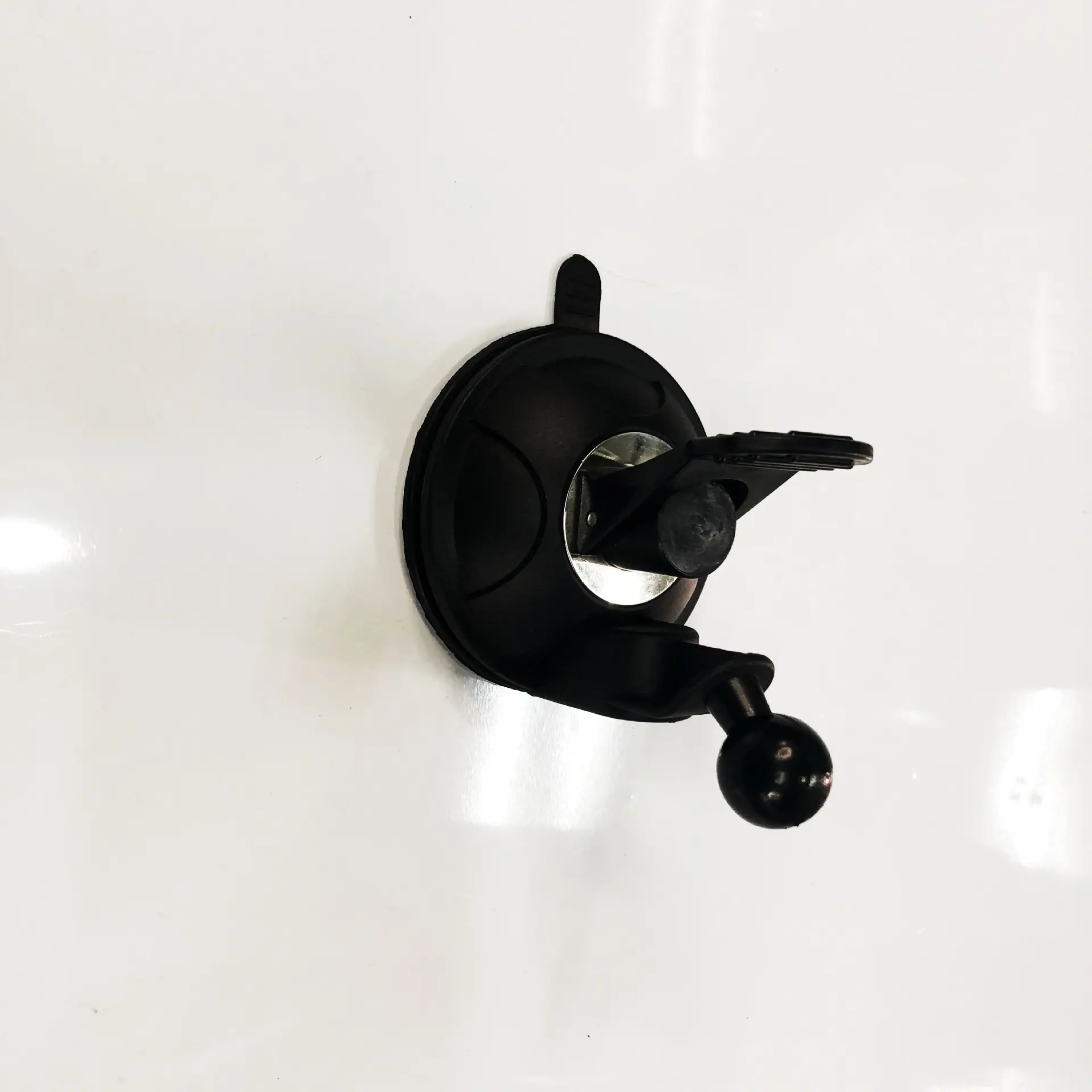 IMG_2794
