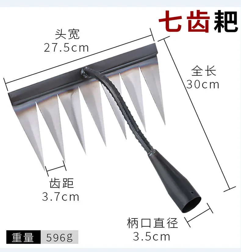尖齿耙_10.jpg