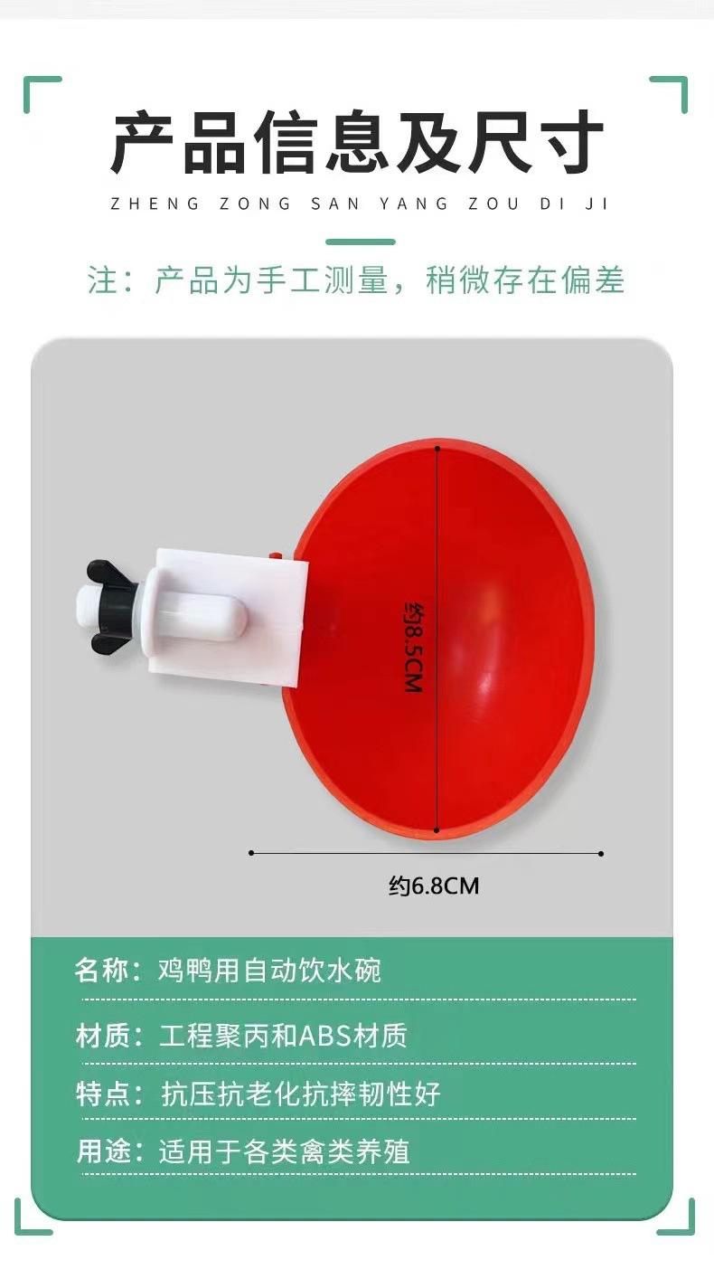 详情页 (8).jpg