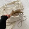 Bolso bandolera de verano 2024 con cadena que combina con todo, bolso de nube plisado de alta gama con textura de nicho para mujer