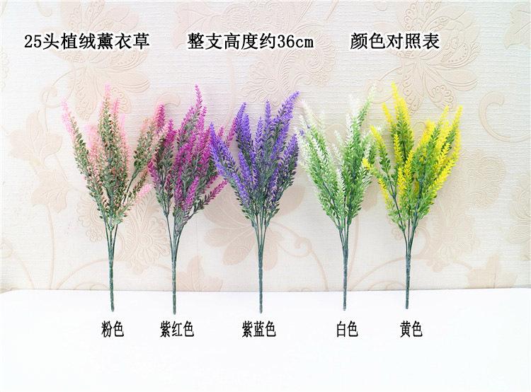 25头植绒薰衣草 色卡 宋体.jpg