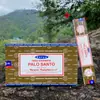 Madeira Dourada para Incenso Staya Sai Baba, Incenso em Palito de Bambu, Fragrância Floral, Incenso do Tibete, Incenso em Palito Fresco, 15g, 50 Tipos Disponíveis