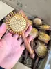 Pente Kaai Desenho Animado Rosewood Aromático Sândalo Almofada de Ar Bolsa de Ar Cabeça de Massagem Meridiano do Couro Cabeludo