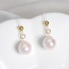 Nuevos pendientes colgantes de perlas de moda, ligeros, de lujo, de alta gama, elegantes, con gancho para la oreja, a la moda, combinables, elegantes y atractivos para mujer.