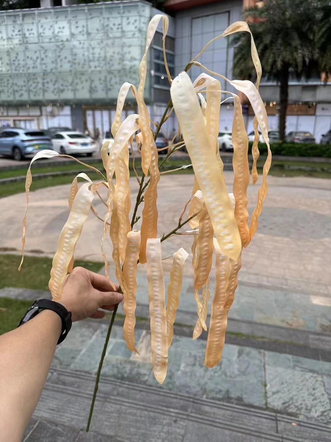微信图片_20240804133058.jpg
