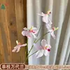 Venta al por mayor transfronteriza de orquídeas Bandai: Orquídeas artificiales Bandai de alta calidad, perfectas para decoraciones de bodas, arreglos de hibiscos y ramos de novia