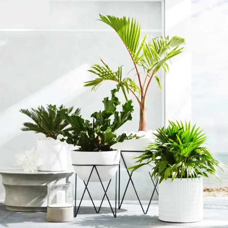 New design high quality wrought iron planter pot rack flower pot stand