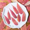 Linterna hojas hojas rojas de otoño en relieve flores secas flor prensada pintura de flores jardín de infantes hecho a mano