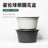 Maceta universal Horun Flor de bola Maceta Flor de bola roja Zhu Ding Rábano verde Lirio de raíz Flor corta Balcón Avore Maceta Pavo Real