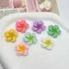 Nuevos Accesorios de Resina de Pegamento de Crema DIY de Plumeria Colorida para Zuecos, Pinzas para el Cabello, Aretes y Decoraciones de Fundas de Teléfono