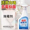 Removedor de mofo de parede, spray limpador de manchas de bolor e fungos, uma ferramenta mágica para remover mofo de paredes em tempo úmido