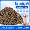 Comida para Perro 20kg Comida para Perro Pequeño para Teddy, Golden Retriever, Labrador, Border Collie, Comida para Cachorro de Uso General, Comida Alta en Proteína para Perros Grandes