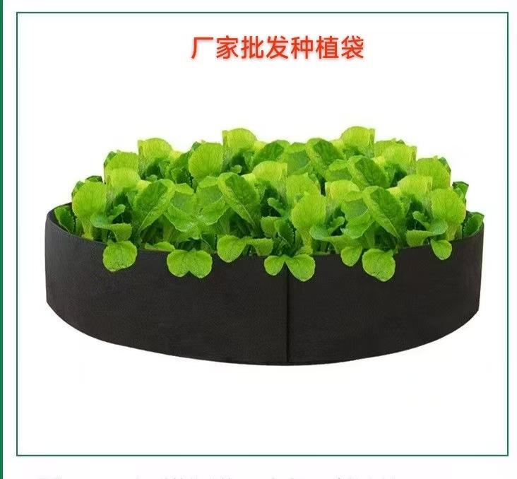 微信图片_20250319192341