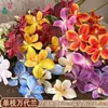Venta al por mayor transfronteriza de orquídeas Bandai: Orquídeas artificiales Bandai de alta calidad, perfectas para decoraciones de bodas, arreglos de hibiscos y ramos de novia