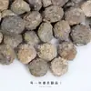 Juguetes de Excavación Arqueológica de Fósiles Naturales Caja Sorpresa Fósiles de Animales y Plantas Marinas Paleontológicas Dientes Esqueleto Piedra Bruta Venta al por Mayor