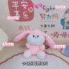 Orejas Largas Conejito Doodle Cara Conejito Peluche Llavero Colgante Muñeco de Agarre Muñeca Colgante para Bolso Pequeño Regalo