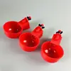 Novo Bebedouro Automático para Frango, Bebedouro Automático Tipo Dividido para Aves como Frango, Pato e Ganso, Popular nas Redes Sociais, Para Automaticamente Quando a Água Está Cheia