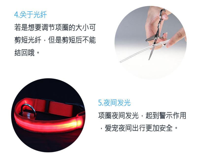 发光项圈