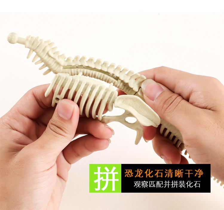 TNY考古玩具详情9.jpg