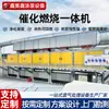 Fabricante de Combustión Catalítica Personaliza Equipo de Tratamiento de Gases Residuales RCO Máquina Todo en Uno para Purificación Eficiente y Ahorro de Energía