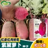 Sementes de Rabanete Wolanze Roxo-Preto Sementes de Rabanete Abacaxi Fruta Sementes de Rabanete Agricultor de Jardim Pele Vermelha Polpa Vermelha