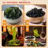 Semillas de Algas Xiapu Brotes de Algas Salados Algas Frescas Tiernas Plato de Lado para Olla Caliente Plato Frío Undaria Pinnatifida 5 jin 250g
