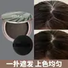Polvo Fluffy para Línea del Cabello Pazt, Polvo para Peinar el Cabello, Cubre Canas, Retoque Rápido de Color, Disimula Canas, Cubre Frente Alta
