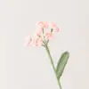 Flores de gypsophila terminadas, nuevos ramos de hilo tejido hechos a mano, flores artificiales, accesorios para bodas, stock de fábrica al por mayor