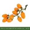 Super Realista Ponderado Simulada Fruta Maçã Falsa Legume e Fruta Adereços Limão Fruta Modelo Decoração