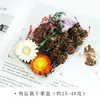 Kit de Materiales DIY de Flor Seca para Aromaterapia sin Fuego, Piñas Secadas al Aire, Canela, Ornamentos de Fragancia Natural de Planta Hechos a Mano para Decoración