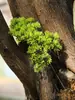 Hojas Rojas de Arce Simulación Hojas de Arce Pie de Pollo Ramas de Árbol Falsas Decoración de Paisajismo Boda Hojas de Planta Plástica Verde Pino Ciprés de Bienvenida