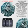 Materiais de Embalagem para Buquês Jemi, Suprimentos para Floristas, Embalagem Floral, Spray Corante à Base de Água, Tinta Spray, Spray para Flores
